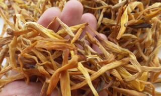 忘忧草是什么菜 忘忧草是什么菜