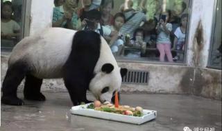 武汉动物园地址 武汉动物园地址