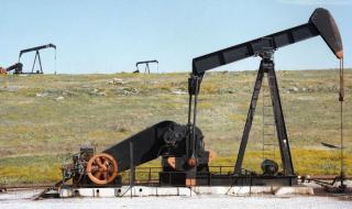 中国发现亿吨级油田