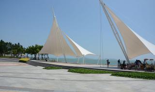 望海的母亲 望海的母亲