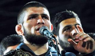 小鹰哈比布 小鹰哈比布