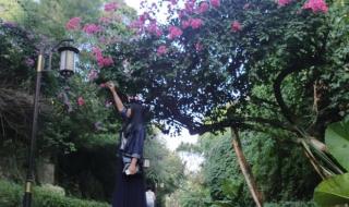 厦门铁路公园 厦门铁路公园