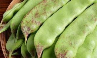9月青豆角,它产自哪里 九月青豆角产自哪里