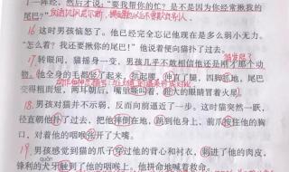 骑鹅旅行记课堂笔记